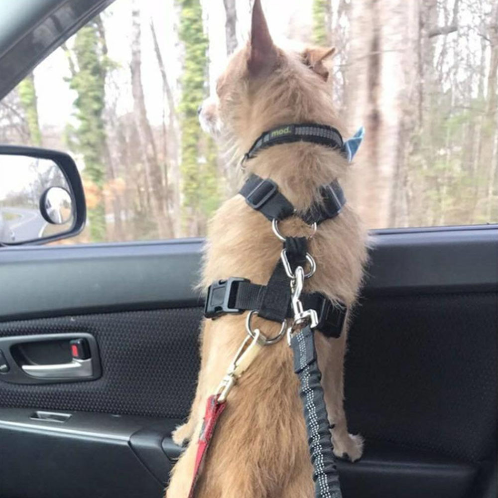 Adjustable Dog Car Seat Belt - Image 4