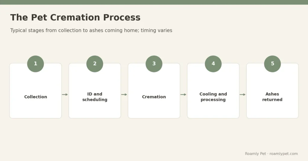 The Pet Cremation Process